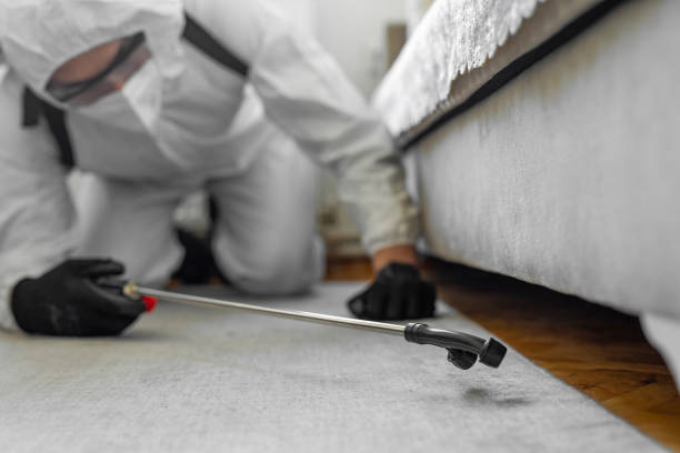 Professional Pest Control technician working in Cambridge, NE