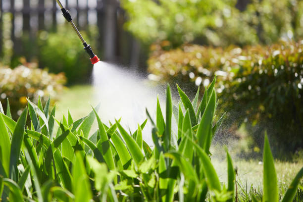 24/7 Emergency Cockroach Control experts in Cambridge, NE