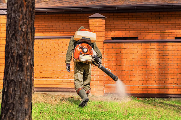 Trusted Rodent Control service in Cambridge, NE - Nex Pest Control